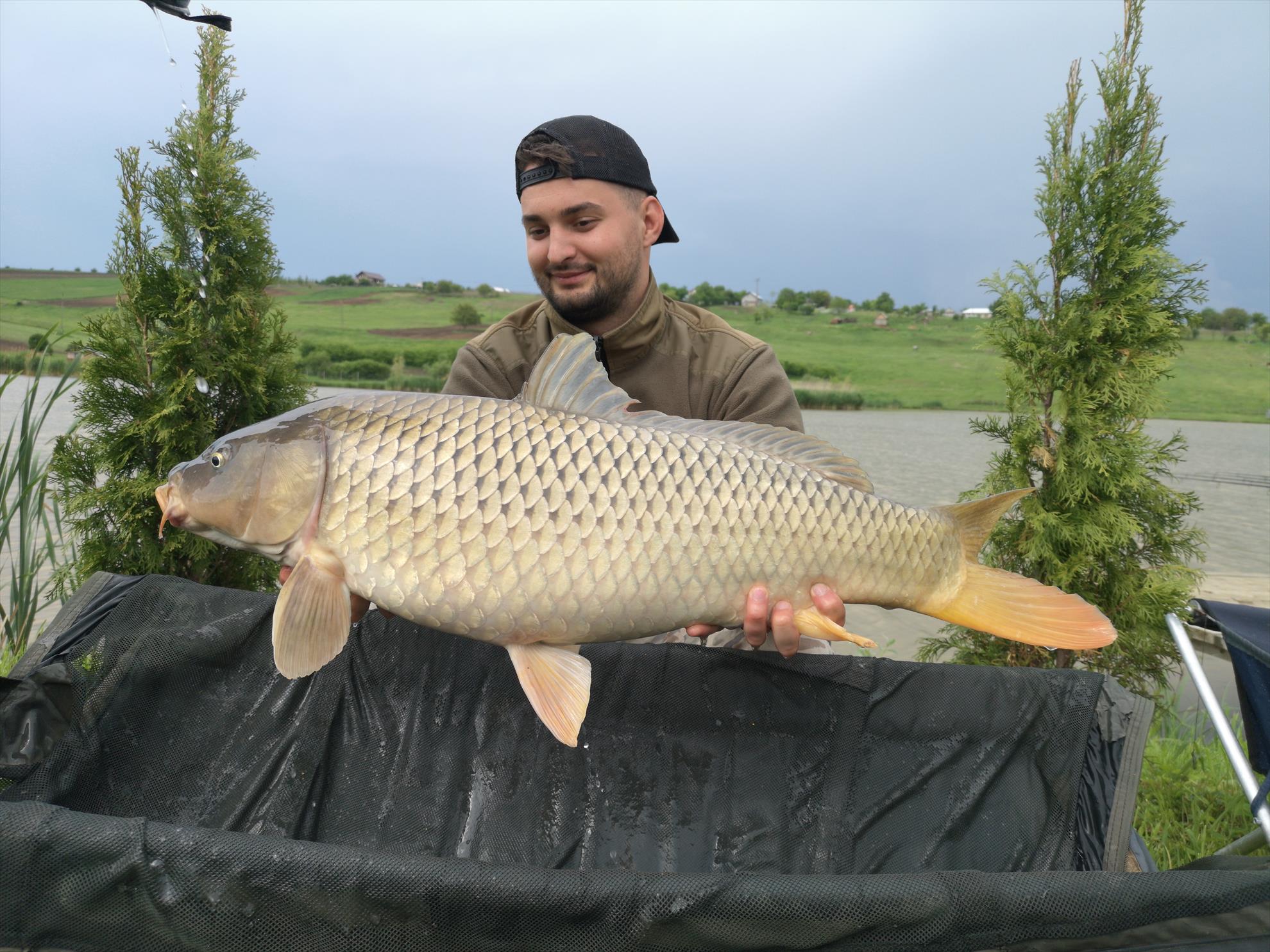 Păușești - img20190518160103.jpg